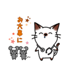 シャムキャツ猫1（個別スタンプ：34）