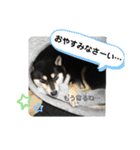 Momotamp 2（個別スタンプ：4）