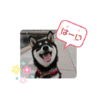 Momotamp 2（個別スタンプ：8）