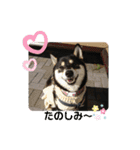 Momotamp 2（個別スタンプ：10）