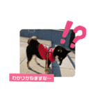 Momotamp 2（個別スタンプ：18）