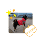 Momotamp 2（個別スタンプ：19）