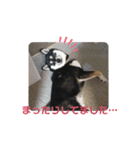 Momotamp 2（個別スタンプ：23）