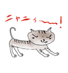 シブネコ（個別スタンプ：5）