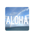 Hawaii語（個別スタンプ：1）