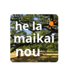 Hawaii語（個別スタンプ：3）