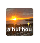 Hawaii語（個別スタンプ：5）
