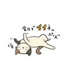 わたしましま印19（個別スタンプ：7）