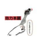 ブルドック 、キキのくらし。（個別スタンプ：5）
