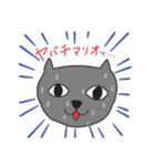 たえにゃんこスタンプ（個別スタンプ：1）
