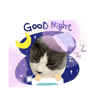 猫のつぶやき(☆∀☆)（個別スタンプ：6）