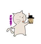 タピオカ好きなネコ。タピネコ。（個別スタンプ：1）