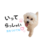 かわいいけんちゃんスタンプ2（個別スタンプ：2）
