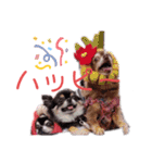 わんだらけ そのさん（個別スタンプ：7）