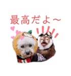 わんだらけ そのさん（個別スタンプ：9）