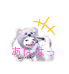 わんだらけ そのさん（個別スタンプ：11）
