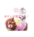 わんだらけ そのさん（個別スタンプ：12）