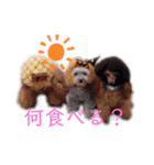 わんだらけ そのさん（個別スタンプ：13）