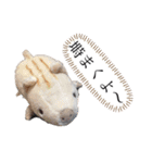 チワワの呟き（個別スタンプ：9）