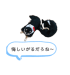 チワワの呟き（個別スタンプ：22）