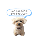 チワワの呟き（個別スタンプ：30）
