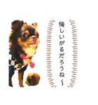 チワワの呟き（個別スタンプ：34）