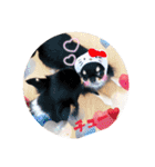 チワワの呟き（個別スタンプ：40）