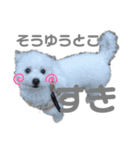 あざと可愛いトイプードルりんちゃん（個別スタンプ：2）