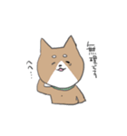 ワンワンランド（個別スタンプ：8）