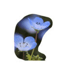 花フラワー（個別スタンプ：2）