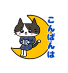 ふくねこのまいにち4(文字色付き)（個別スタンプ：3）