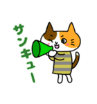 ふくねこのまいにち4(文字色付き)（個別スタンプ：13）