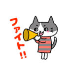 ふくねこのまいにち4(文字色付き)（個別スタンプ：17）