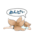 どんちきスタンプ（個別スタンプ：36）