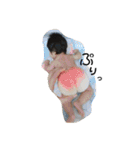 やまとのスタンプ②（個別スタンプ：1）