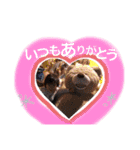 こうちゃんのかわいいスタンプ★2（個別スタンプ：1）