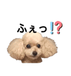 高木さん家のさくらちゃん（個別スタンプ：3）