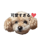 高木さん家のさくらちゃん（個別スタンプ：12）