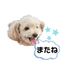 高木さん家のさくらちゃん（個別スタンプ：23）