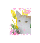 ファイティング猫（個別スタンプ：4）