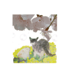 ファイティング猫（個別スタンプ：5）