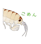ヨコエビのスタンプ2（個別スタンプ：6）