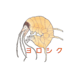 ヨコエビのスタンプ2（個別スタンプ：16）