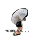 ueeeerinam（個別スタンプ：10）