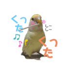 コザクラインコのネロ（個別スタンプ：7）