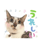 ネル＆ルル＆マルほ★すたんぷ（個別スタンプ：14）