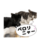 ネル＆ルル＆マルほ★すたんぷ（個別スタンプ：16）