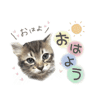 ザギちゃん＆トワくん☆スタンプ（個別スタンプ：1）