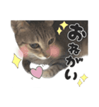 ザギちゃん＆トワくん☆スタンプ（個別スタンプ：5）