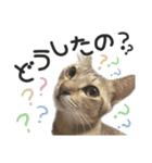 ザギちゃん＆トワくん☆スタンプ（個別スタンプ：8）